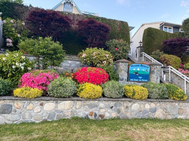 Ocean Breeze Executive Bed And Breakfast North Vancouver Ngoại thất bức ảnh